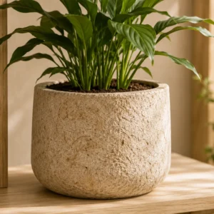 Large Mycelium Pot